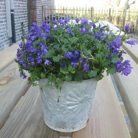 Holiday home Vakantiewoning Kwakkelhof Torhout
